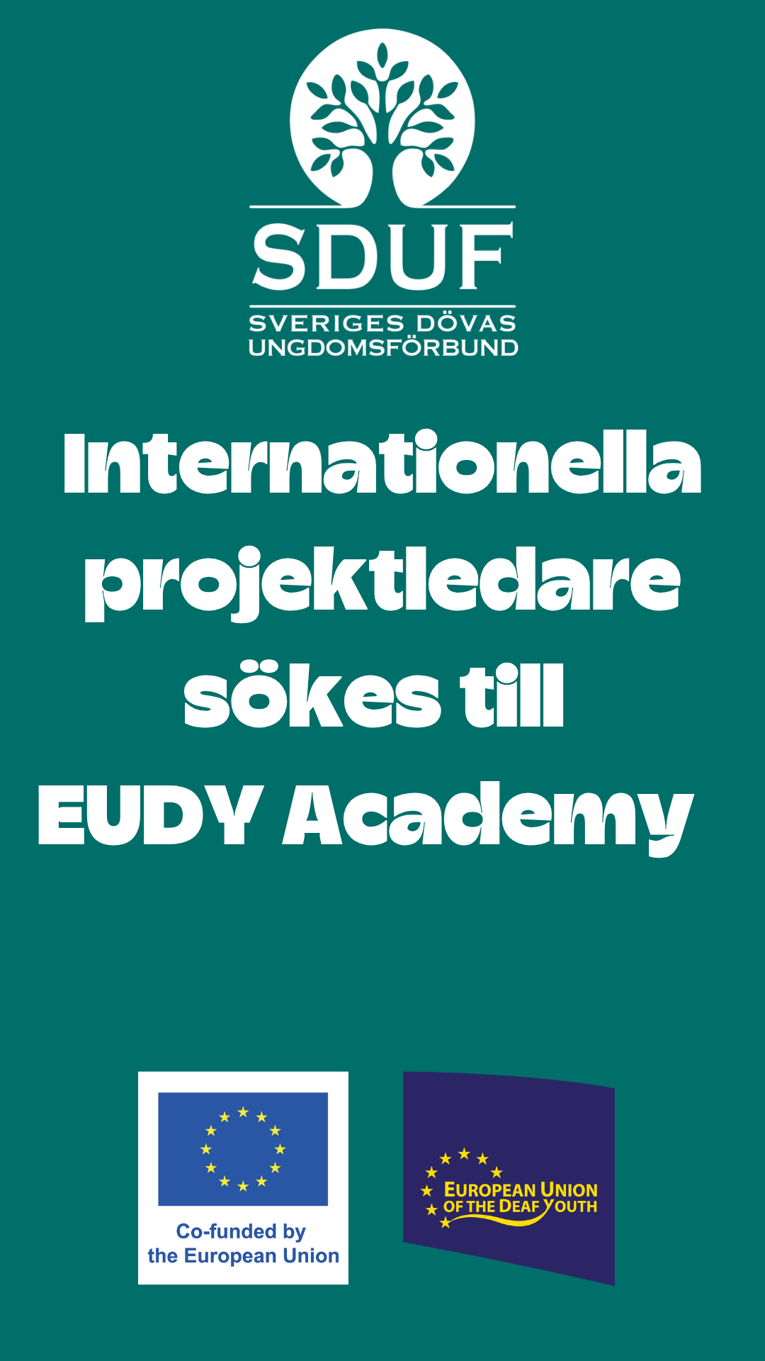 EUDY academy cover till Reels INTERTIGHT